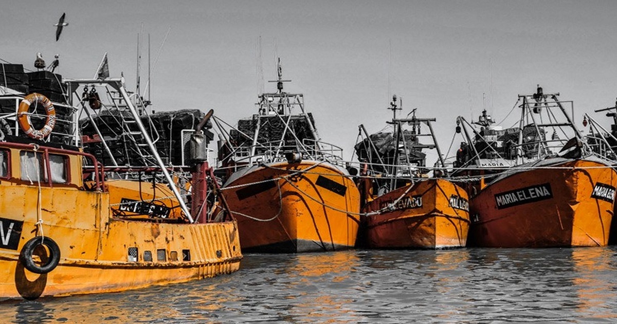 Langostino Chubut. Se suman problemas ante comunicados y denuncias