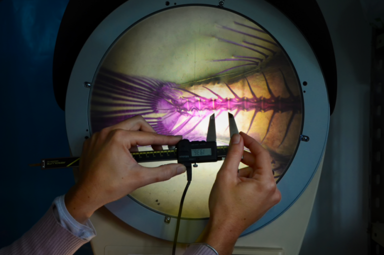 Profesionales del INIDEP se pronunciaron respecto a las modificaciones del R茅gimen Federal de Pesca