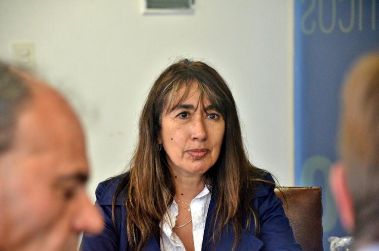 Férreo pronunciamiento de la Diputada Nacional Roxana Reyes en el Plenario del Congreso de la Nación