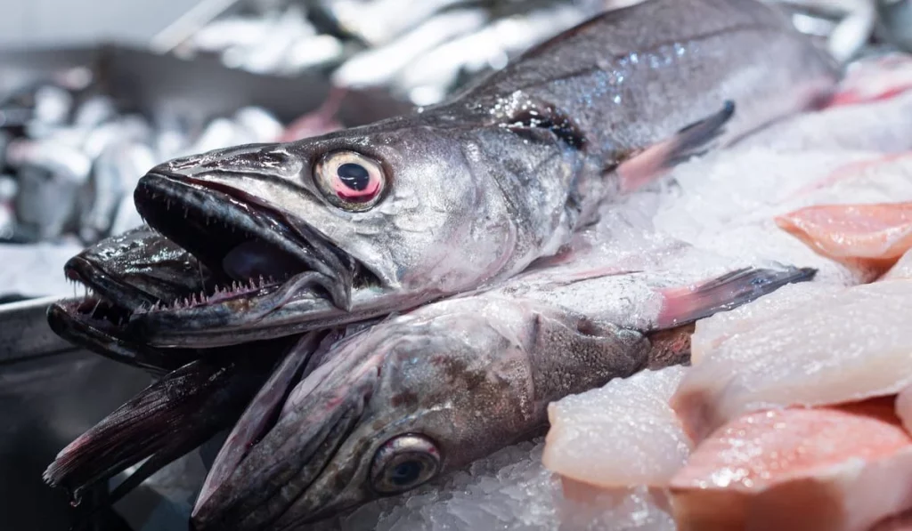 Merluza, ¿otra vez demora en la frontera?
