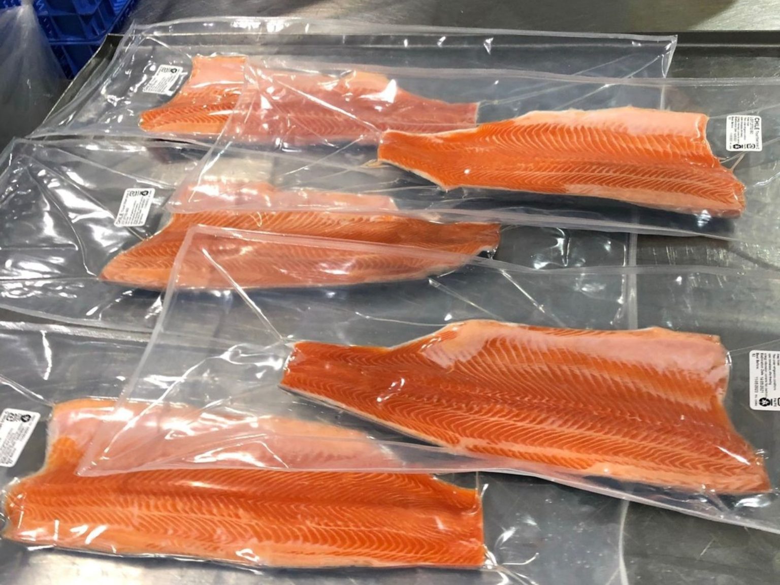 La República Popular China autorizó el ingreso de trucha arcoÃris congelada argentina