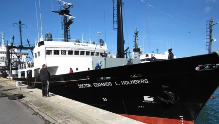 Calamar Illex. El BIP Dr. Eduardo L. Holmberg inicia campa帽a para evaluar el recurso