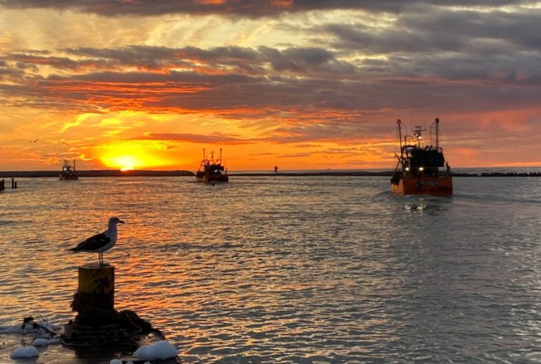 La STIA llam贸 a un Paro Total. CAPIP pidi贸 el cierre definitivo de la zafra