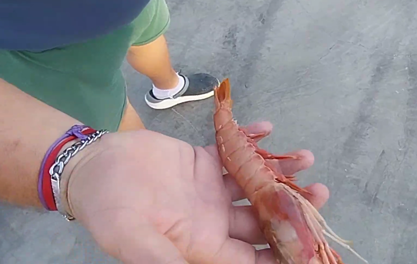 Chubut. Buscando la paz social para reactivar la zafra de langostino