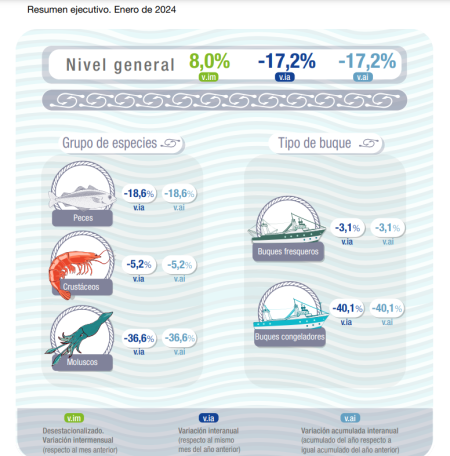 Arrancó el 2024, según el Índice de Producción Industrial Pesquero, la actividad cayó el 17.2%. Es dato oficial del INDEC
