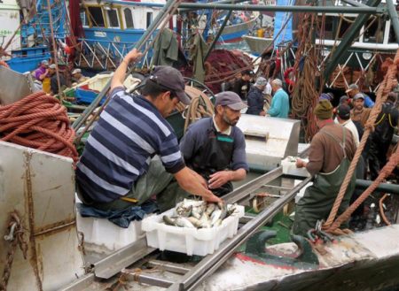 Otro acuerdo pesquero en jaque: La Unión Europea busca alternativas ante la posible anulación del acuerdo con Marruecos