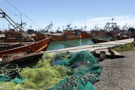 Por inacci贸n administrativa R铆o Negro no pudo hacer uso de cuota solicitada