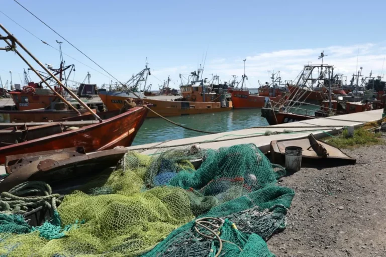 Por inacci贸n administrativa R铆o Negro no pudo hacer uso de cuota solicitada