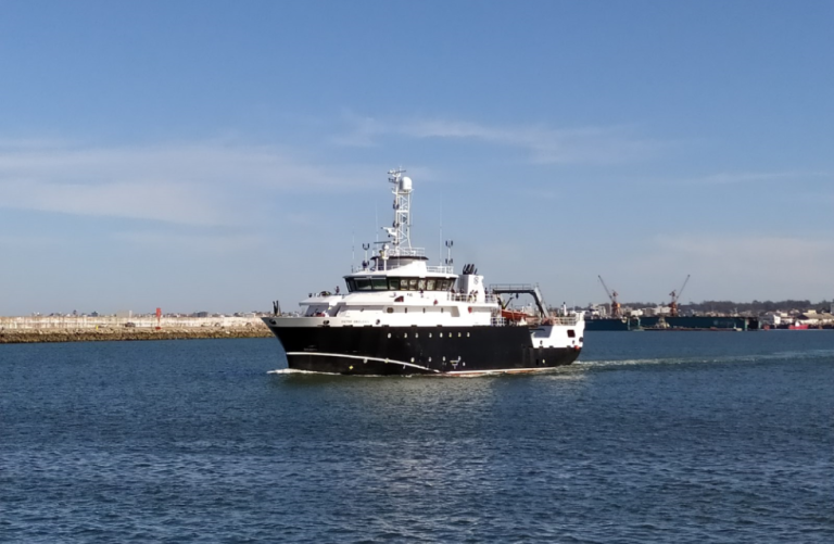 Zarp贸 el BIP V铆ctor Angelescu para una nueva campa帽a de evaluaci贸n de vieira patag贸nica