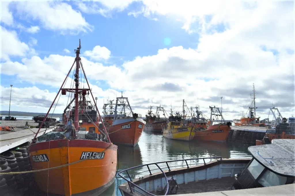 Jurista marplatense sin experiencia en el sector, será el nuevo representante de RÃo Negro en el Consejo Federal Pesquero