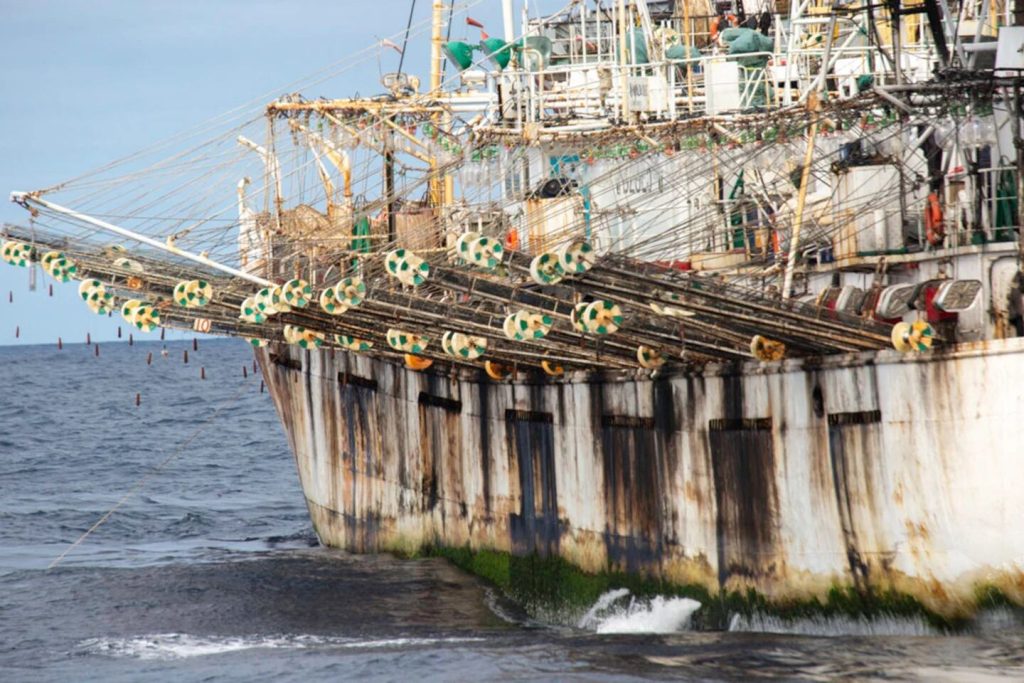 Acusan a gigante pesquero chino de trabajos forzosos y pesca ilegal. Doce buques bajo la lupa