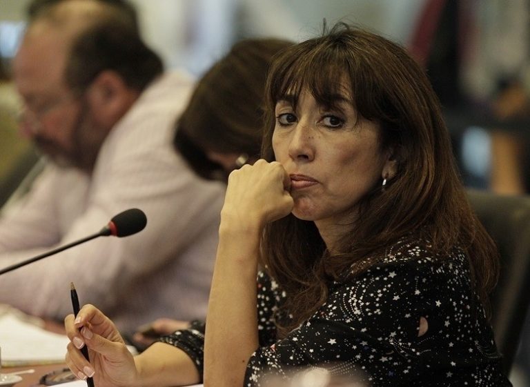 Presentarán un nuevo proyecto para restituir los reembolsos por exportaciones a los puertos de la Patagonia