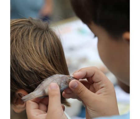 脡xito de la muestra interactiva del INIDEP: Ciencia, Solidaridad y Divulgaci贸n en Mar del Plata