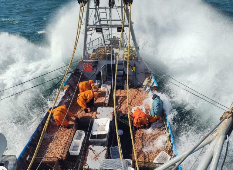 CeDePesca expresa su preocupaci贸n por la situaci贸n actual del sector pesquero argentino