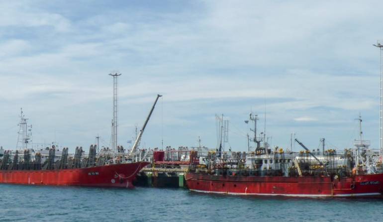 Éxito en Puerto Madryn: Temporada de calamar supera expectativas y se prepara para un prometedor arranque de langostino