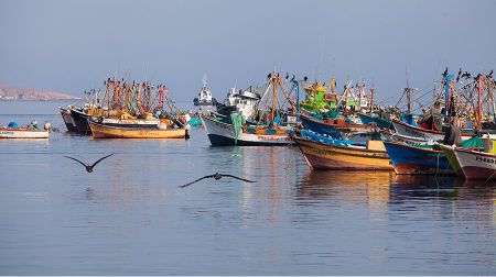 Perú: Define Plan Estratégico para la Pesca y Acuicultura 2024-2030