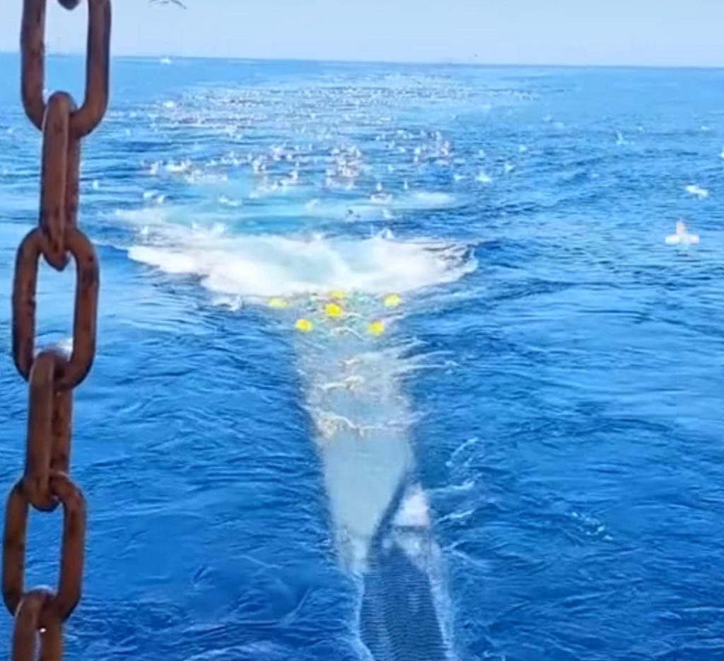 Consejo Federal Pesquero. Sesión semanal, Acta Nro. 16/2024. Fondo Nacional Pesquero: Balance y distribución