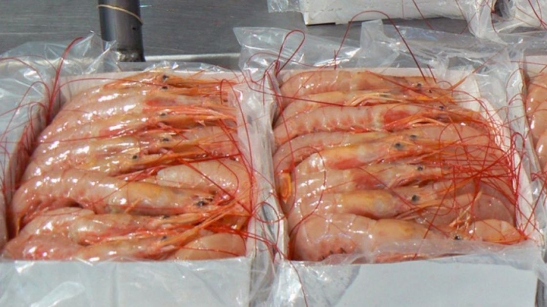 Pesquera Veraz S.A. obtiene el sello de calidad «Alimentos Argentinos una Elección Natural» para sus productos