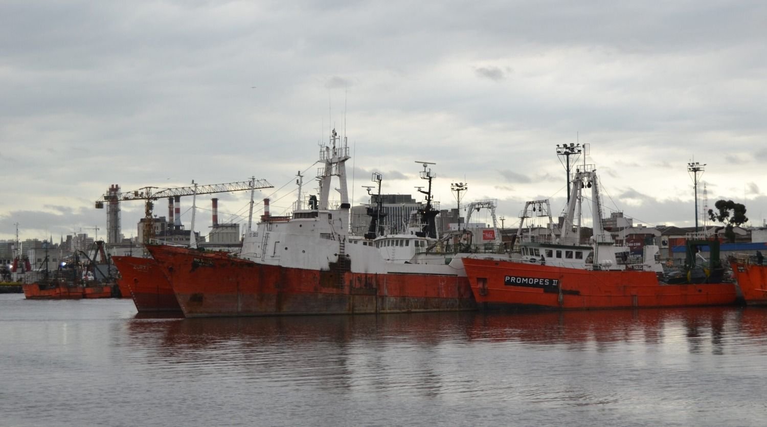 Resolución CTMFM Nro.2/2024. Se habilita la pesca de calamar en la Zona Común de Pesca