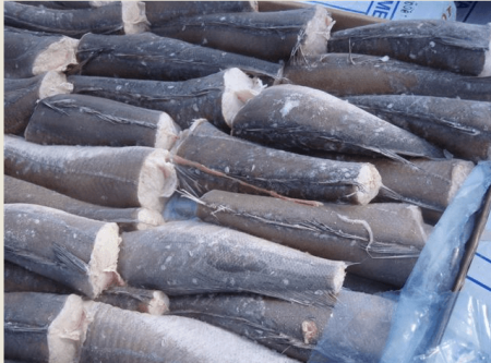 El CFP aprobó una Disposición Transitoria para la Merluza Hubbsi