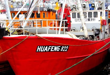 Imputan a empresa armadora por Pesca Ilegal y falsificaci贸n de documentaci贸n en Santa Cruz