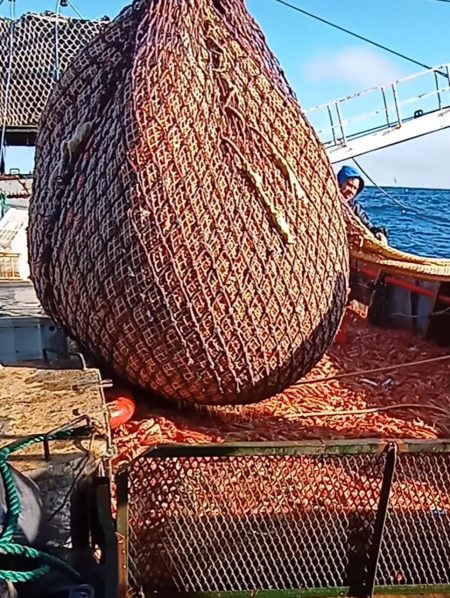 Reuni贸n de Comisi贸n de seguimiento de langostino. 驴Puntapi茅 inicial de una cuotificaci贸n?