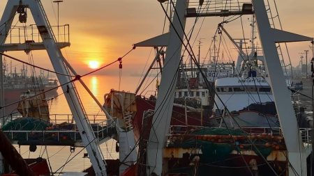 La pujanza de la industria pesquera argentina