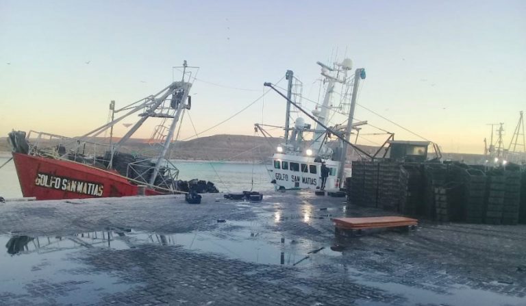 Clima tenso en la temporada de langostino en Santa Cruz