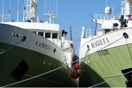 Pesca en Islas Malvinas: Primera temporada arrojó mejores capturas que el año pasado