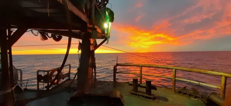 Hoy, 20 de Julio, se celebra el DÃa del Amigo