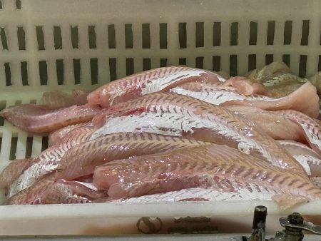 Acuerdo Salarial SOIP-CAIPA-CAABPA: Un aumento en etapas y atado al IPC