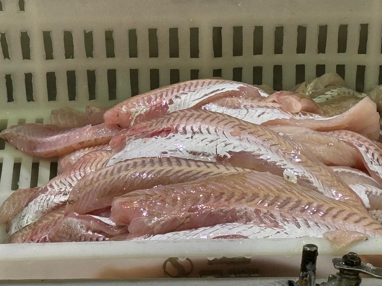 Acuerdo Salarial SOIP-CAIPA-CAABPA: Un aumento en etapas y atado al IPC