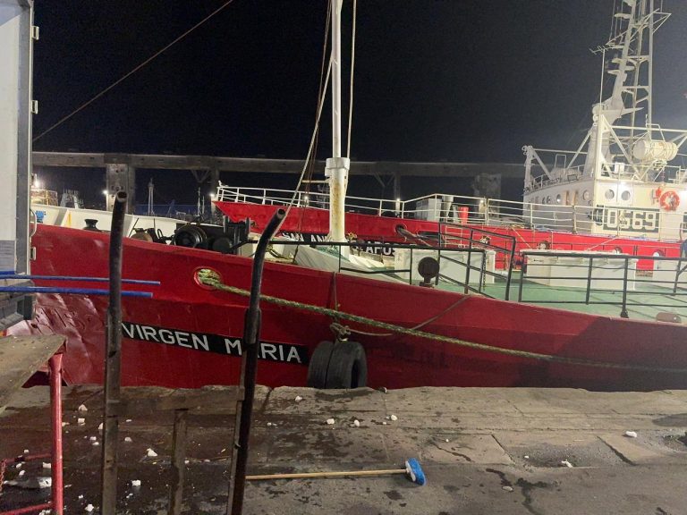 Descarga de pescado en los muelles de Mar del Plata: Tradición y eficiencia