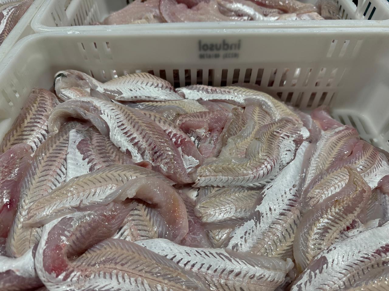 Análisis de Mercado de Merluza y Exportaciones de filetes a Brasil