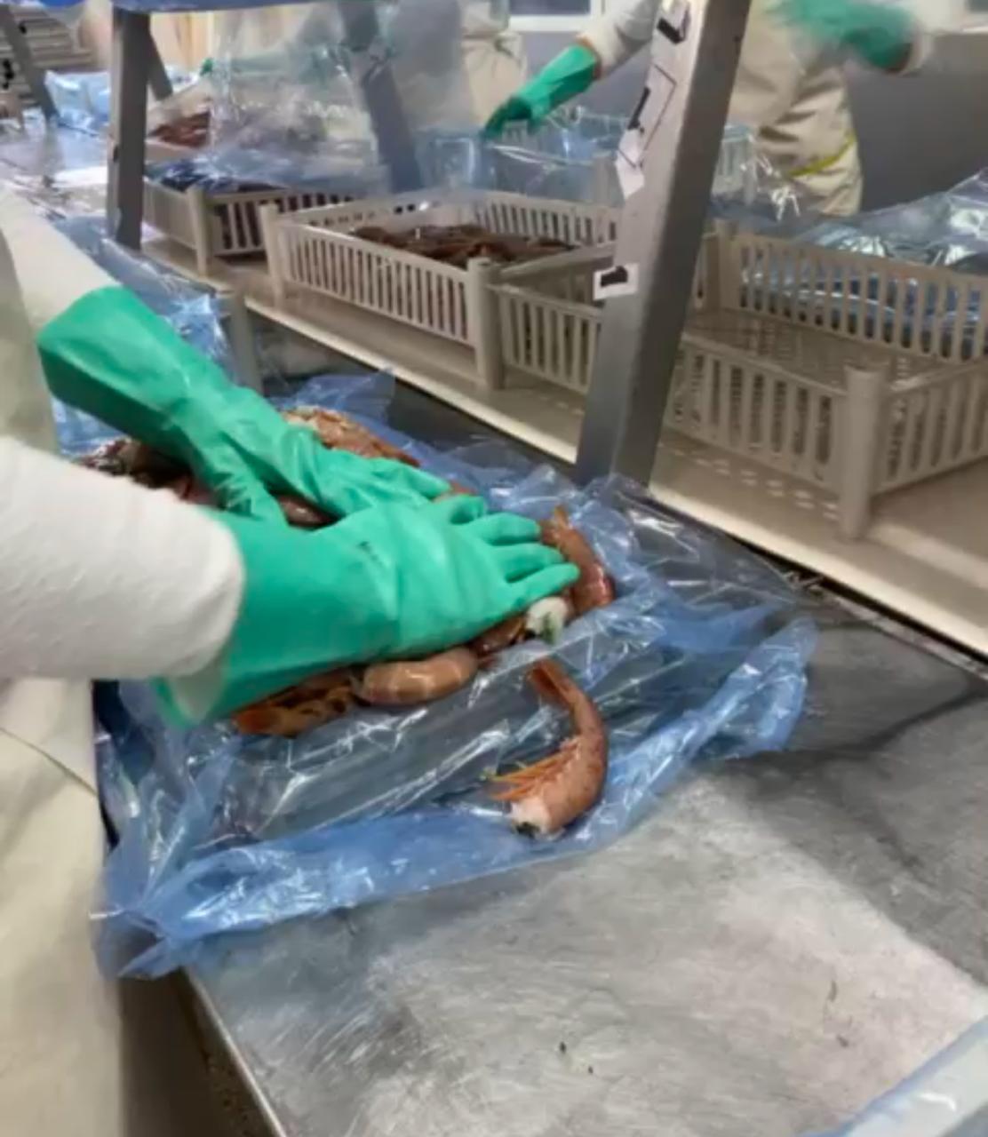 Chubut. Dictaron la Conciliación Obligatoria por conflicto del STIA