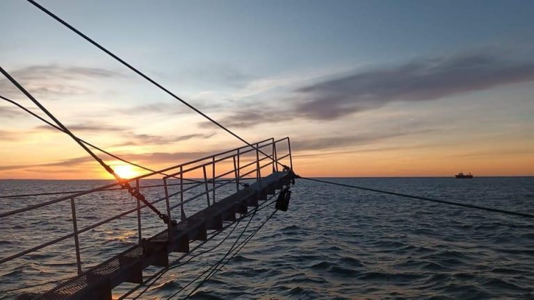 Consejo Federal Pesquero. Sesi贸n semanal, Acta Nro. 15/2025. Nuevas medidas de manejo de langostino