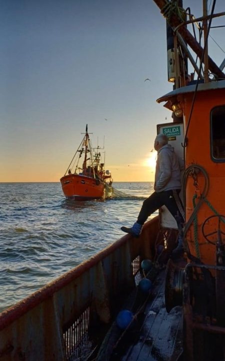 Temporada de Corvina 2024: Más volúmen de descargas presionan los precios a la baja