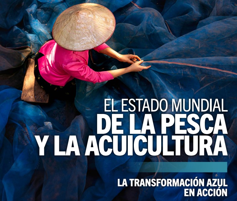 El Estado Mundial de la Pesca y la Acuicultura 2024: La Transformaci贸n Azul en Acci贸n