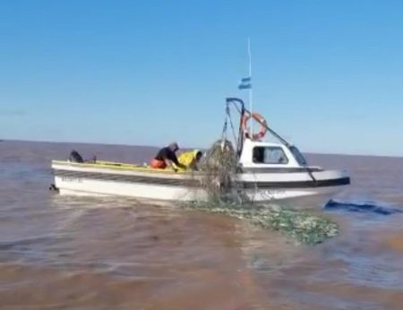 Pesquería de Corvina rubia en la Bahía de Samborombón
