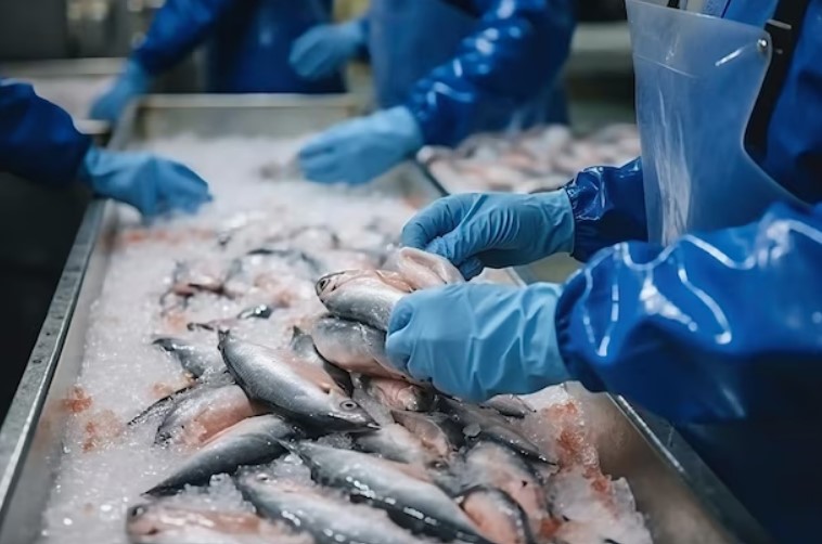 Iron铆as de la matriz productiva argentina