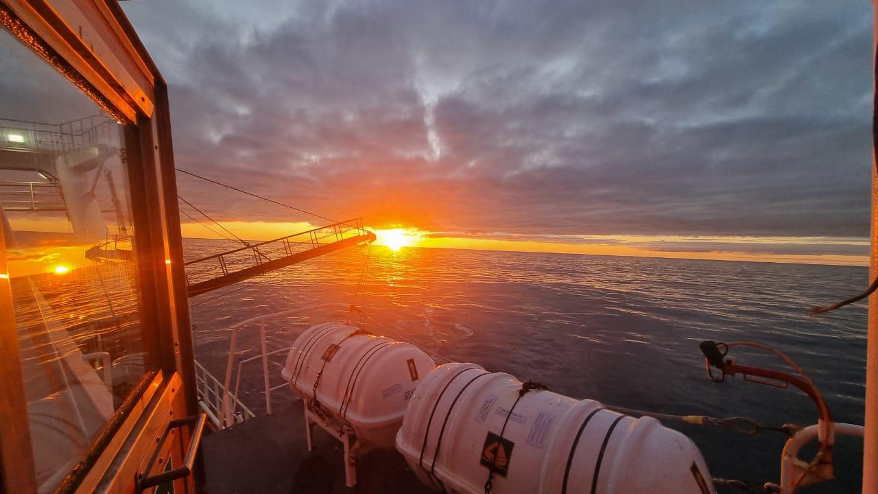 Langostino. Varios movimientos intentan dar continuidad a zafra en aguas nacionales