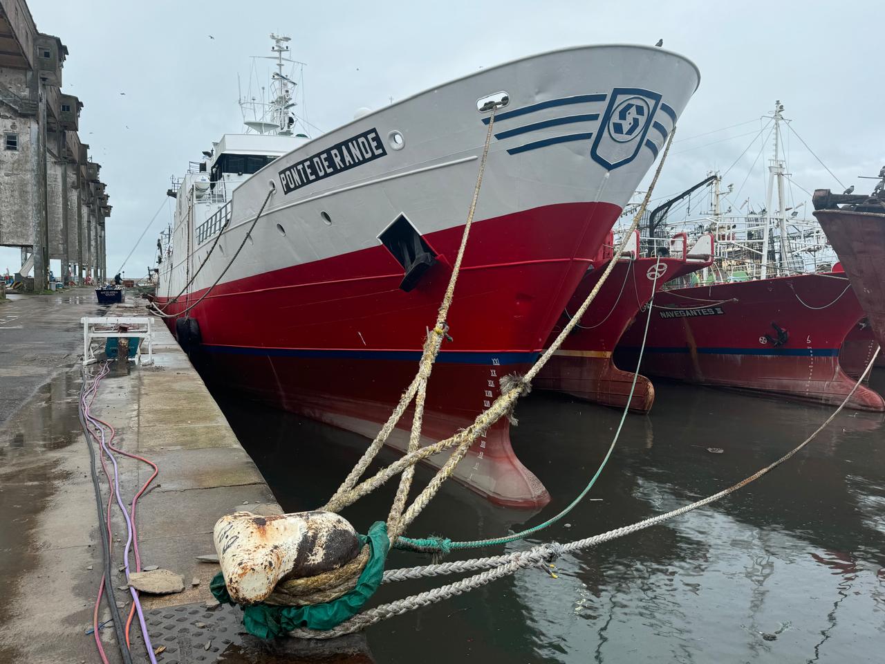 Sábado al mediodÃa en el muelle: Solo para apasionados
