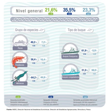 En Junio, según el Índice de Producción Industrial Pesquero, la actividad subió el 35.5%. Es dato oficial del INDEC