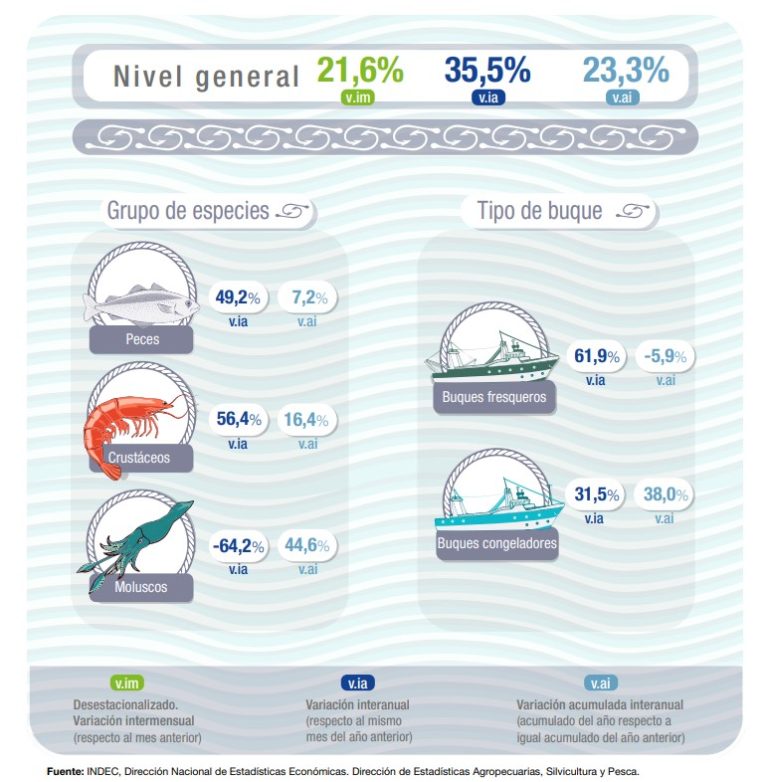 En Junio, seg煤n el 脥ndice de Producci贸n Industrial Pesquero, la actividad subi贸 el 35.5%. Es dato oficial del INDEC