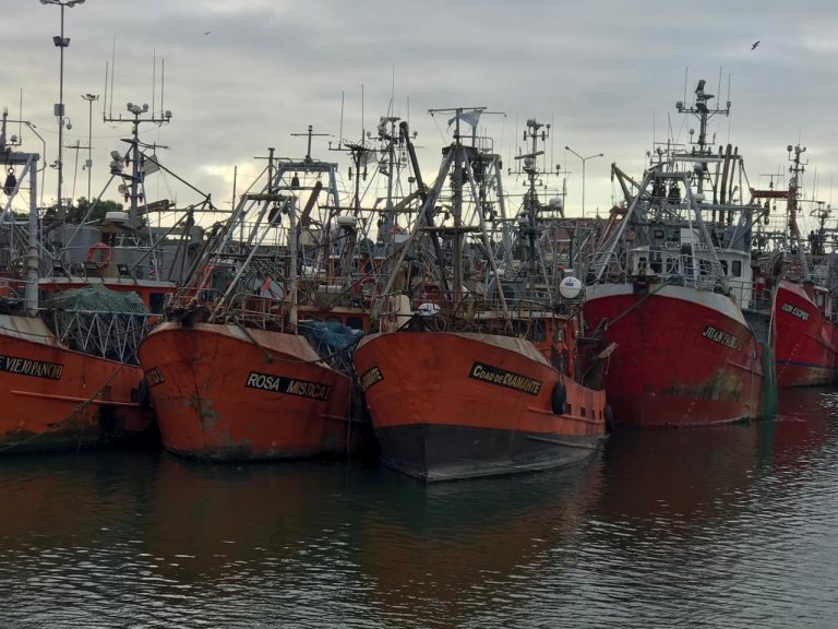 El SICONARA paraliza el muelle 10