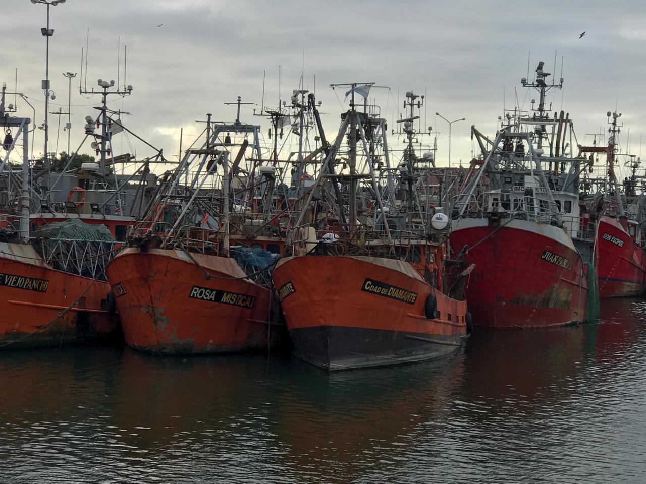 El SICONARA paraliza el muelle 10