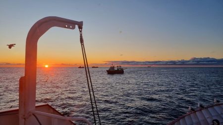 Apertura de nueva zona para la captura de langostino en aguas nacionales