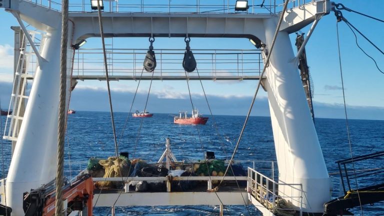 Langostino. Finalizaci贸n anticipada de prospecci贸n Sub谩rea 13 y 9