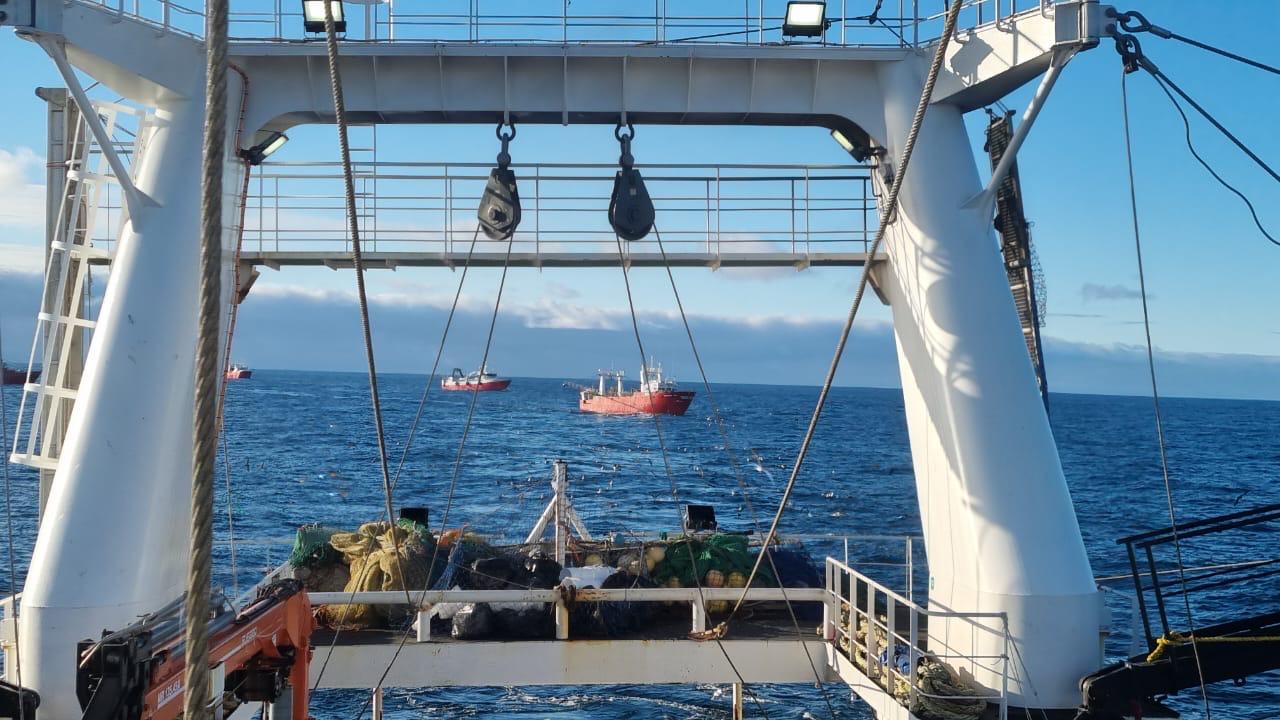 Langostino. Finalización anticipada de prospección Subárea 13 y 9
