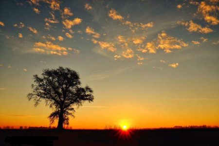 Desequilibrios macroecon贸micos argentinos y el impacto en la actual situaci贸n pesquera